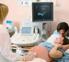 Porodniška 14 tednu nosečnosti