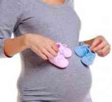 Porodniška 15 tednu nosečnosti