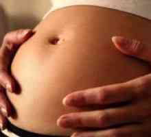 15 Tednov nosečnosti - občutek v želodcu