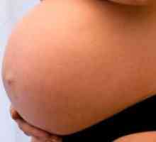 37 Tednov nosečnosti - drugo rojstvo