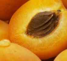 Apricot olje