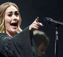 Adele prisegel 33-krat v 90-minutni koncert