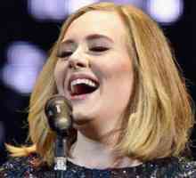 Adele delovala kot posrednika na svojem koncertu