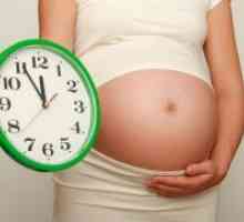 Porodniška teden nosečnosti