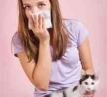 Alergična na mačke - Simptomi
