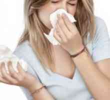 Alergije na prah - Simptomi