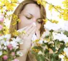 Trava cvetni prah alergija