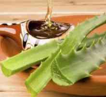 Aloe z medom - Recepti za želodec