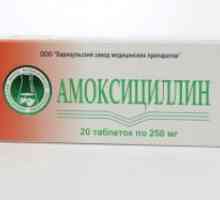 Amoksicilin med nosečnostjo
