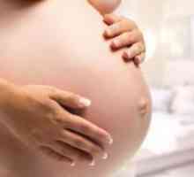 Testi med nosečnostjo