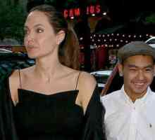 Angelina Jolie presenetil čudovit razgled na Gju-Kaku restavracijo