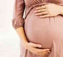Antifosfolipidni sindrom in nosečnost