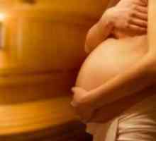 Kopel in zgodnji nosečnosti