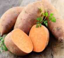 Sladki krompir - koristi in škoduje