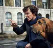 Benedict Cumberbatch želi več igrati v televizijski seriji "Sherlock"