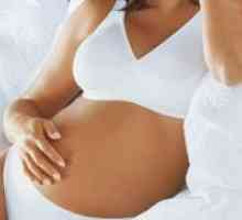 Bras za nosečnice