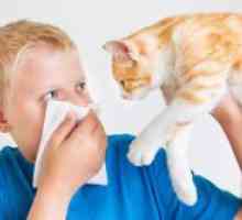 Astma pri otrocih - Simptomi in zdravljenje