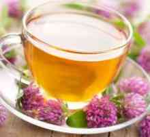 Hujšanje čaj v domu - recepti