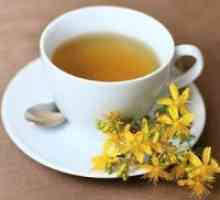 Šentjanževka čaj - koristi in škoduje