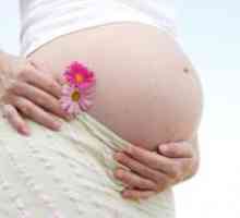 Kako zdravi glivična okužba med nosečnostjo?