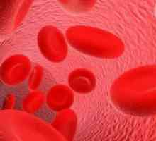 Kaj je nevarno visok hemoglobin?