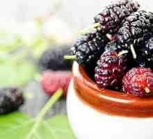 Mulberry je koristno za organizem?