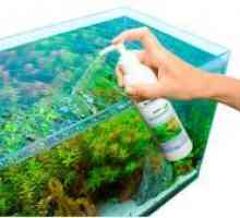 Kako gnojiti vodnih rastlin?