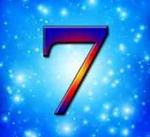 Številka 7 na numerologijo