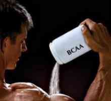 Kateri je boljši - BCAA ali aminokisline?