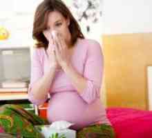 Kaj piti kašelj med nosečnostjo?