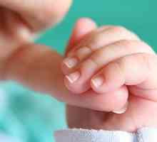 Kaj morate vedeti o novorojenih refleksov