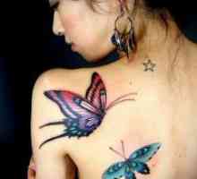 Kaj metulj tetovažo?