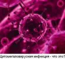 Citomegalovirus (CMV) - kaj je to?