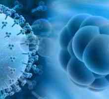Okužba s citomegalovirusom - simptomi