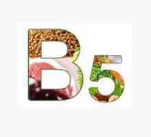 Kaj telo potrebuje vitamin B5?