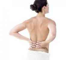 Dr. Bubnovsky: telovadba za hrbet