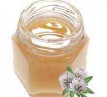 Sweet Clover medu - koristne lastnosti