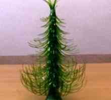 Božično drevo iz plastenk