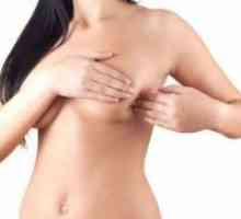 Fibrom prsi