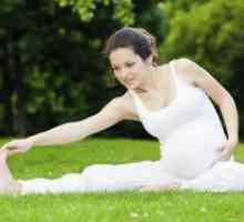 Fitness za nosečnice - 1 mandat