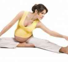 Športna vzgoja za nosečnice