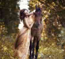 Photoshoot s konji