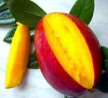 Kje raste mango?