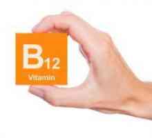 Ki vsebuje vitamin B12?