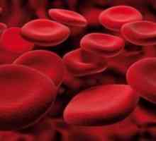 Hemoglobin - norma pri otrocih