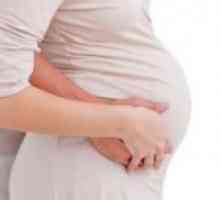 Genetska analiza nosečnosti - Rezultati