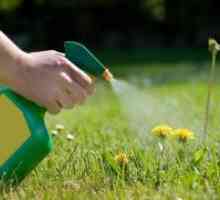 Herbicidi proti plevelom