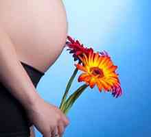 Skrb za nosečnice: pomembne nianse
