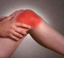 Vadba z osteoartritisom kolena