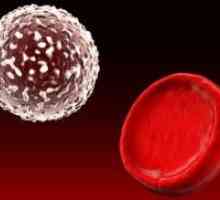 Glikoziliranega hemoglobina - norma